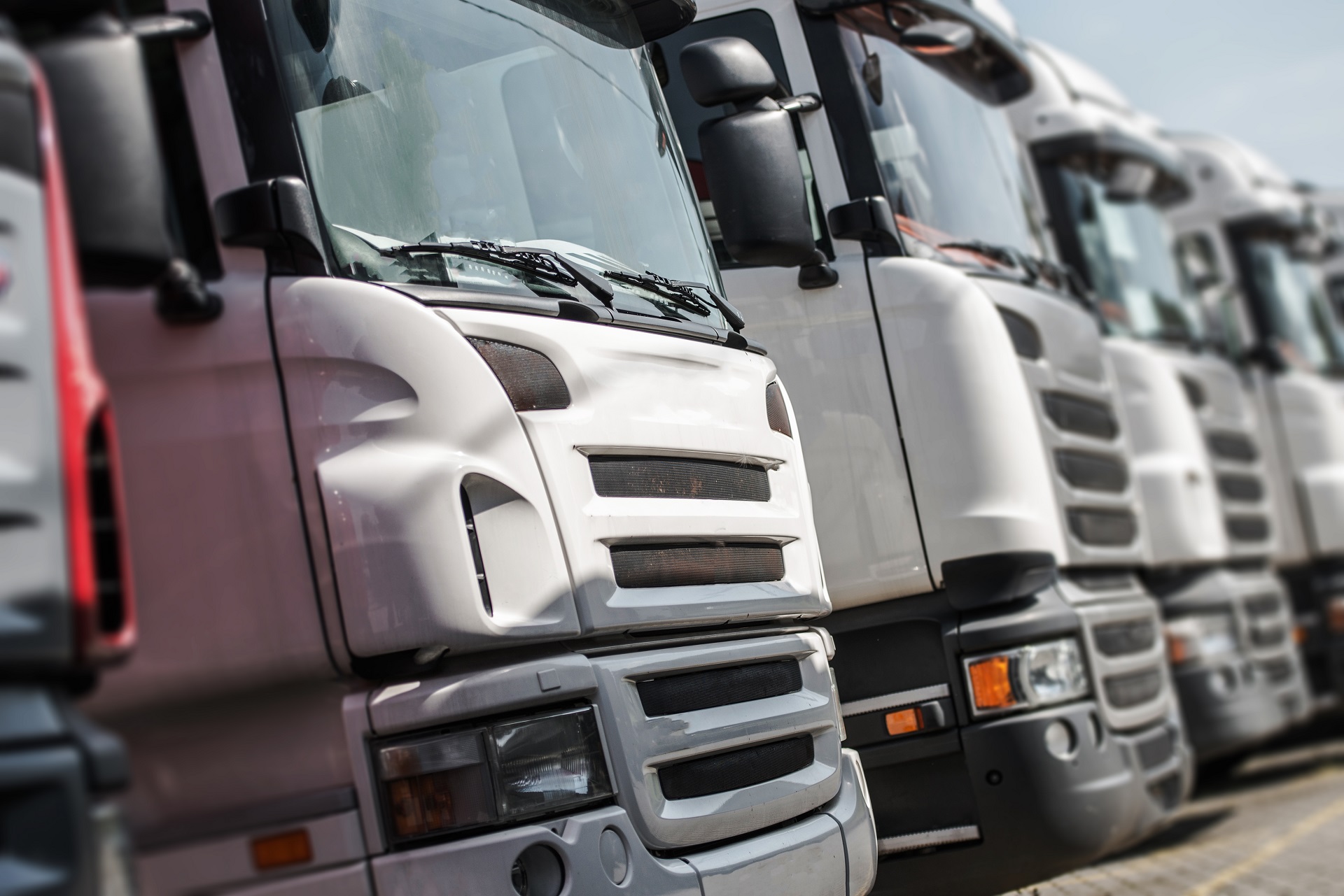 Logistyka i transport sektor spożywczy